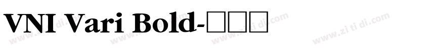 VNI Vari Bold字体转换